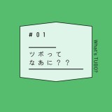 ツボってなあに？？